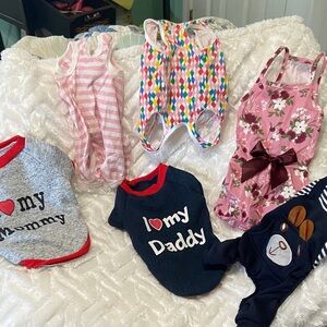 Assortment of small dog clothes